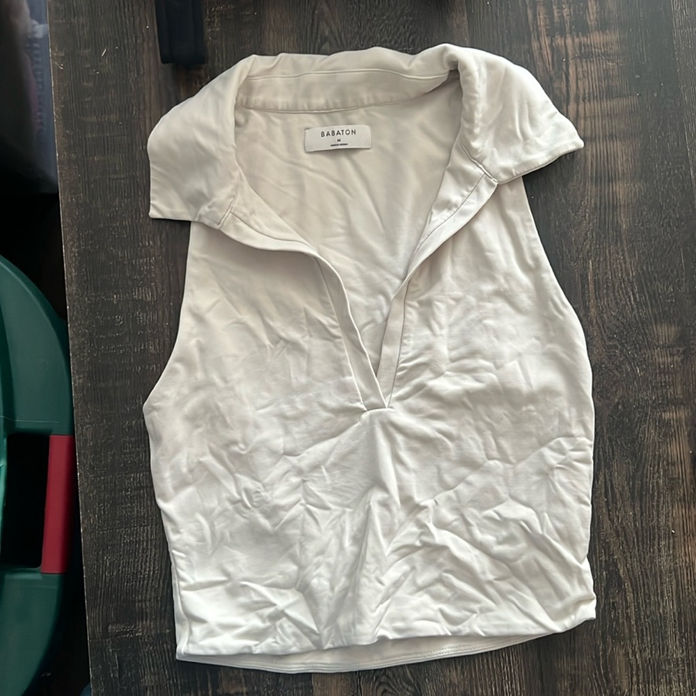 Aritzia Babaton collared top